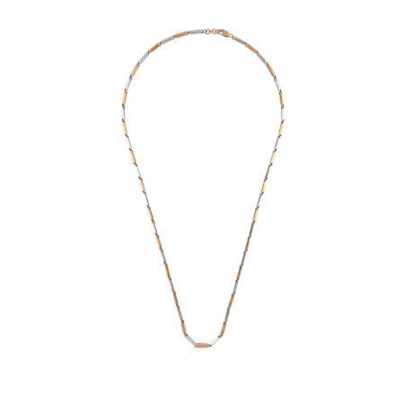 Enchanted Omega Dream